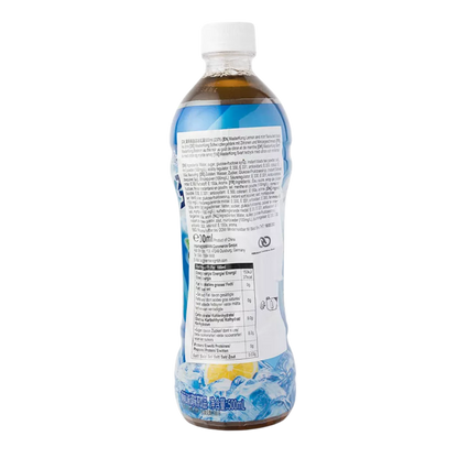 MASTER KONG Black Tea With Mint 500ML